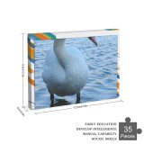 yanfind Picture Puzzle  Lake Bird Vertebrate Beak Ducks Geese Swans Waterfowl Neck Duck Family Game Intellectual Educational Game Jigsaw Puzzle Toy Set