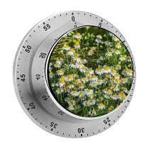 yanfind Timer Москва Images Chamomile Ogorod Огород» Сад Flowers Aster Ботанический Plant Asteraceae Garden 60 Minutes Mechanical Visual Timer