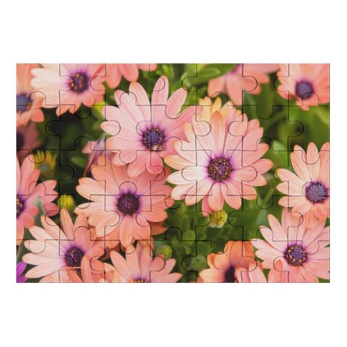 yanfind Picture Puzzle Daisies Floral  Bloom Spring Closeup Beautiful 5K Family Game Intellectual Educational Game Jigsaw Puzzle Toy Set