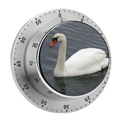yanfind Timer  Swim Denmark Bird Vertebrate Ducks Geese Swans Beak Waterfowl Neck 60 Minutes Mechanical Visual Timer
