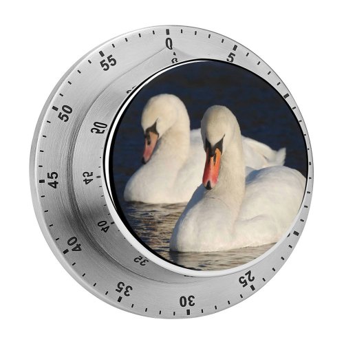 yanfind Timer  Winter Lake Elegant Bird Vertebrate Ducks Geese Swans Beak Waterfowl Neck 60 Minutes Mechanical Visual Timer