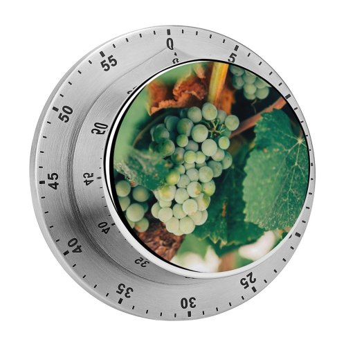 yanfind Timer Leafe Images Spain Flora  Grapes Frontera Wallpapers Plant De Produce Pérez 60 Minutes Mechanical Visual Timer