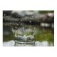yanfind Picture Puzzle Cdwaldi Kitazume Rock  Pond still Capture Macro Resources Drop Reflection Liquid Family Game Intellectual Educational Game Jigsaw Puzzle Toy Set