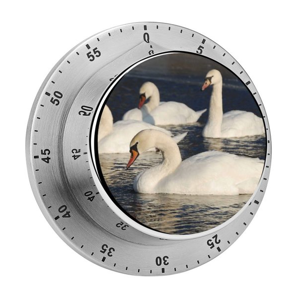 yanfind Timer  Winter Lake Elegant Bird Vertebrate Ducks Geese Swans Beak Waterfowl Duck 60 Minutes Mechanical Visual Timer