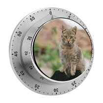 yanfind Timer Lovely Images Wildlife Pictures Pet Creature Curious Free  Cat 60 Minutes Mechanical Visual Timer