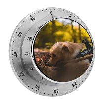 yanfind Timer Lovely Golden Images Pet Wallpapers Plant Free Forest Pictures Strap Dog Leaf 60 Minutes Mechanical Visual Timer