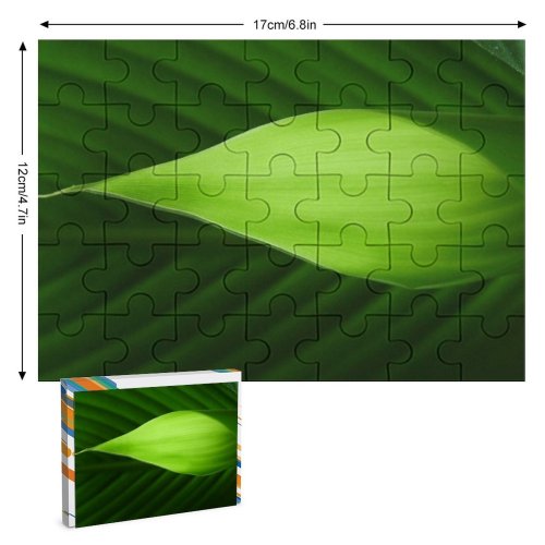 yanfind Picture Puzzle Stuff Leaf Light Banana Plant Botany Flower Macro Petal Family Game Intellectual Educational Game Jigsaw Puzzle Toy Set
