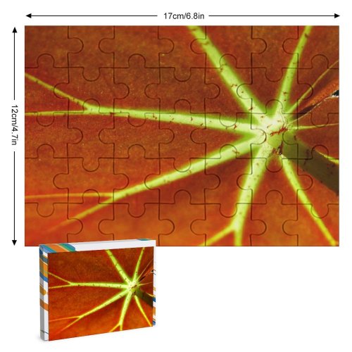 yanfind Picture Puzzle Leaf  Macro Plant Stem Flower Family Game Intellectual Educational Game Jigsaw Puzzle Toy Set