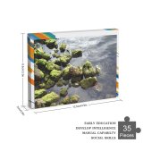 yanfind Picture Puzzle Rocks River  Stone Ripple Reflection Leaf Outdoors Rock Algae Watercourse Sea Family Game Intellectual Educational Game Jigsaw Puzzle Toy Set