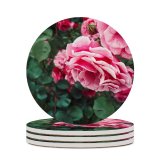 yanfind Ceramic Coasters (round) Geranium Images Rose Petal Peony Public Plant Garden Summer Pictures Flower Plants Family Game Intellectual Educational Game Jigsaw Puzzle Toy Set