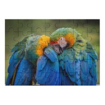 yanfind Picture Puzzle Parrots Birds Tropical 5K Family Game Intellectual Educational Game Jigsaw Puzzle Toy Set