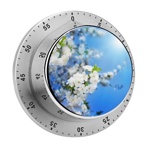 yanfind Timer Blooming Bloom Growth Border Beauty  Closeup Selective Orchard May Flowers Apricot 60 Minutes Mechanical Visual Timer