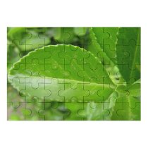yanfind Picture Puzzle Leaf Plant Tree Flower Flowering Mock Dew Family Game Intellectual Educational Game Jigsaw Puzzle Toy Set