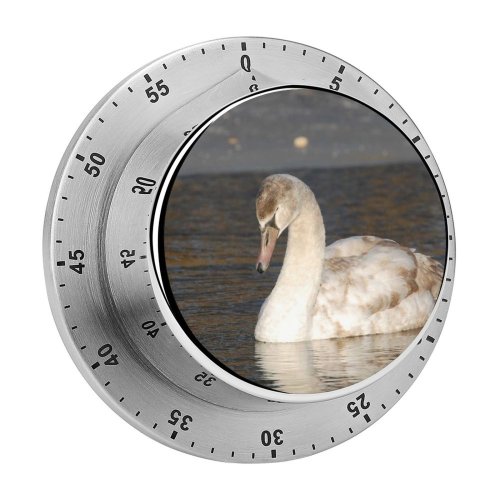 yanfind Timer  Winter Lake Elegant Bird Vertebrate Ducks Geese Swans Beak Duck Waterfowl 60 Minutes Mechanical Visual Timer