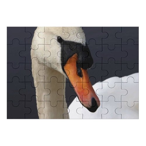 yanfind Picture Puzzle  Lake Lakeland Ireland Irish Mythology Bird Beak Ducks Geese Swans Waterfowl Family Game Intellectual Educational Game Jigsaw Puzzle Toy Set