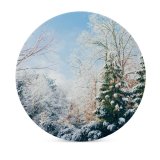 yanfind Ceramic Coasters (round) Fir Images Christmas Flora Pine Frost Landscape Snow Wallpapers Plant Outdoors Tree Family Game Intellectual Educational Game Jigsaw Puzzle Toy Set