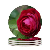 yanfind Ceramic Coasters (round) Images Rosu Rose Flori Trandafir Flowers Gradina Plant Free Summer Romania Pictures Family Game Intellectual Educational Game Jigsaw Puzzle Toy Set