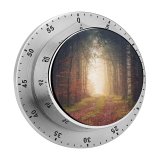 yanfind Timer Johannes Plenio Forest Autumn Light Path Atmosphere 60 Minutes Mechanical Visual Timer