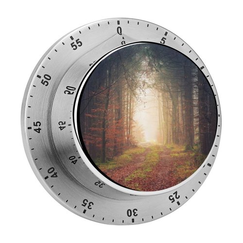 yanfind Timer Johannes Plenio Forest Autumn Light Path Atmosphere 60 Minutes Mechanical Visual Timer