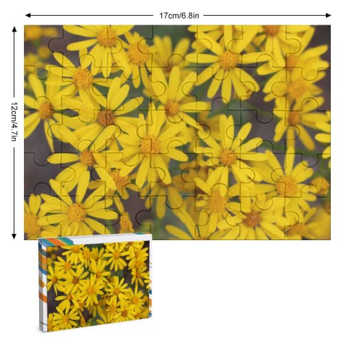 yanfind Picture Puzzle Images Spring Petal Aster Wallpapers Plant Asteraceae Pollen Free Pictures Daisy Flower Family Game Intellectual Educational Game Jigsaw Puzzle Toy Set