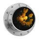 yanfind Timer Images Arrangement Plant Commons Bouquet  Flower Tulips Tulip Spring Creative Flowers 60 Minutes Mechanical Visual Timer
