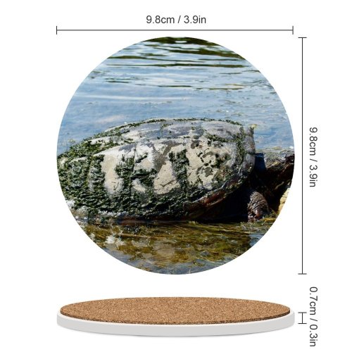yanfind Ceramic Coasters (round) Turtle Turtles Reptiles Reptile Wildlife River Old Mud Muddy Pond Tortoise Family Game Intellectual Educational Game Jigsaw Puzzle Toy Set