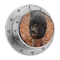 yanfind Timer Sanctuary Images Hog Wallpapers Grey Pictures Happy Pig Boar Farm Stock Free 60 Minutes Mechanical Visual Timer
