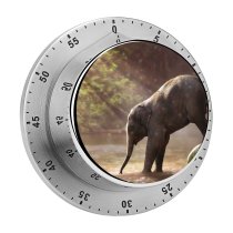yanfind Timer Comfreak Elephant Cub Rocks River  Rays Waterhole Daytime 60 Minutes Mechanical Visual Timer