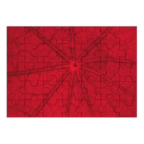 yanfind Picture Puzzle Leaf Tree Branch Outdoors Texture Symmetry Plant Macro Family Game Intellectual Educational Game Jigsaw Puzzle Toy Set