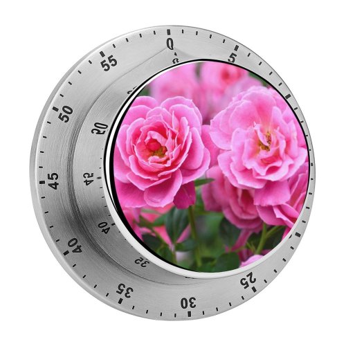 yanfind Timer Poznań Geranium Petals Images Rose Spring Petal Peony Wallpapers Plant Polska Garden 60 Minutes Mechanical Visual Timer