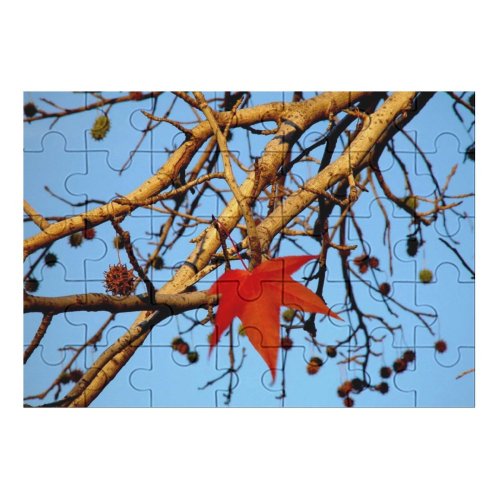 yanfind Picture Puzzle Leaf Tree Fall Maple Branch Twig Plant Woody Sky Spring Stem Flowering Family Game Intellectual Educational Game Jigsaw Puzzle Toy Set
