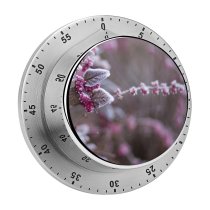 yanfind Timer Images Freezing Flora Frost Snow Grass Wallpapers Plant Outdoors Free Olsztyn Winter 60 Minutes Mechanical Visual Timer