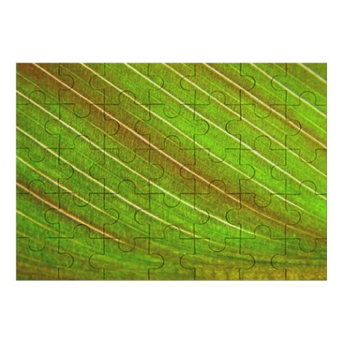 yanfind Picture Puzzle Leaf Texture Plant Grass Macro Family Game Intellectual Educational Game Jigsaw Puzzle Toy Set