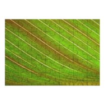 yanfind Picture Puzzle Leaf Texture Plant Grass Macro Family Game Intellectual Educational Game Jigsaw Puzzle Toy Set