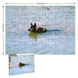 yanfind Picture Puzzle Dog Family Dogs Pond Canidae German Dobermann Carnivore Summer Sea Guard Family Game Intellectual Educational Game Jigsaw Puzzle Toy Set