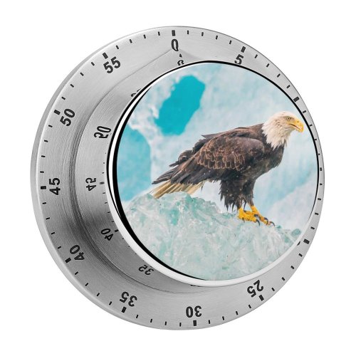yanfind Timer Anthony Hayward Eagle Iceberg Birds Prey Raptors Bird Winter Closeup 60 Minutes Mechanical Visual Timer