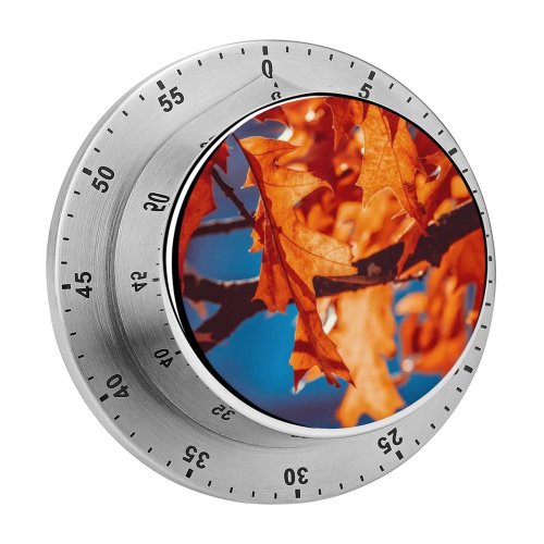 yanfind Timer Autumn Leaves Leaf Sunlight Closeup 60 Minutes Mechanical Visual Timer