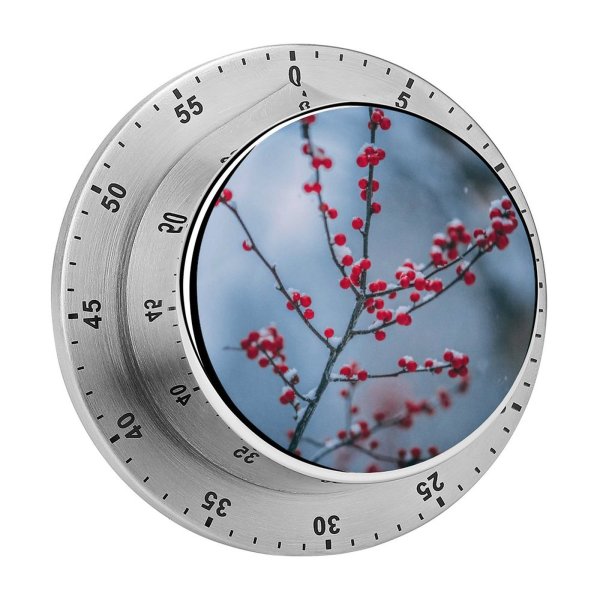 yanfind Timer Images Bush Christmas Flora Frost Snow Wallpapers Plant Branches Tree Stock Free 60 Minutes Mechanical Visual Timer