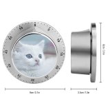 yanfind Timer Lovely Images Wallpapers Pictures Pet Kitten Angora Stock Free Cute Cat 60 Minutes Mechanical Visual Timer