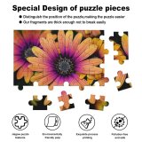 yanfind Picture Puzzle Paul Zoetemeijer Flowers Daisy Flowers Colorful Flowers Closeup Macro Flower Heads Family Game Intellectual Educational Game Jigsaw Puzzle Toy Set