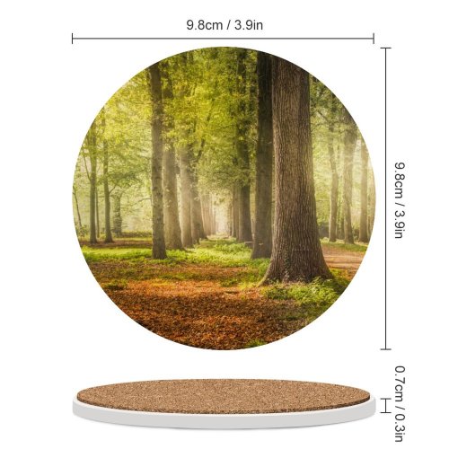 yanfind Ceramic Coasters (round) Skitterphoto Woodland Forest Trees Road Fallen Leaves Greenery Woods Sunshine Pathway Scenery Family Game Intellectual Educational Game Jigsaw Puzzle Toy Set