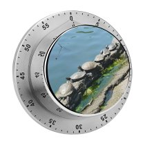 yanfind Timer Turtles Rock Bank Resources Botany Reflection Watercourse Pond Tree Waterway 60 Minutes Mechanical Visual Timer