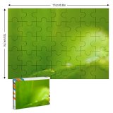yanfind Picture Puzzle Abstract  Eco Ecology  Greenery Greenness Family Game Intellectual Educational Game Jigsaw Puzzle Toy Set