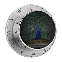 yanfind Timer  Peafowl Dark 60 Minutes Mechanical Visual Timer