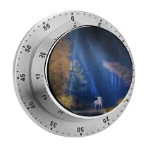 yanfind Timer Anja Fantasy Fairy Tale Mythical Light Beam Forest Woods Tall Trees Scenery 60 Minutes Mechanical Visual Timer