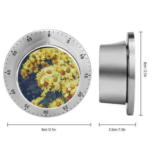 yanfind Timer Images Fall Autumn Petal Aster Grass Wallpapers Plant Asteraceae Pollen Free Pictures 60 Minutes Mechanical Visual Timer