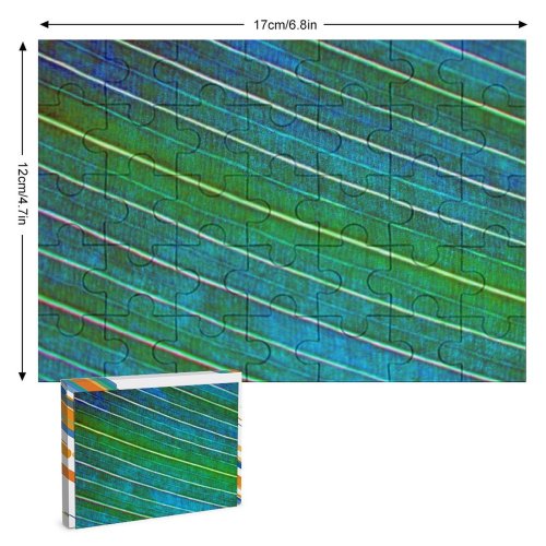 yanfind Picture Puzzle Leaf Texture Turquoise Electric Family Game Intellectual Educational Game Jigsaw Puzzle Toy Set
