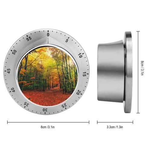 yanfind Timer Johannes Plenio Forest Autumn Sunny Foliage Sunlight 60 Minutes Mechanical Visual Timer