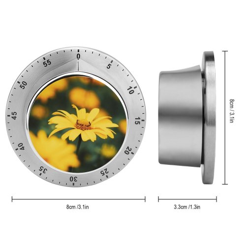 yanfind Timer Images Autumn Dnipro Украина Last Petal Днепропетровская Filed Wallpapers Plant Garden Asteraceae 60 Minutes Mechanical Visual Timer