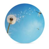 yanfind Ceramic Coasters (round) Flowers Dandelion Flower Dragonflies Sky Insects Sky Family Game Intellectual Educational Game Jigsaw Puzzle Toy Set